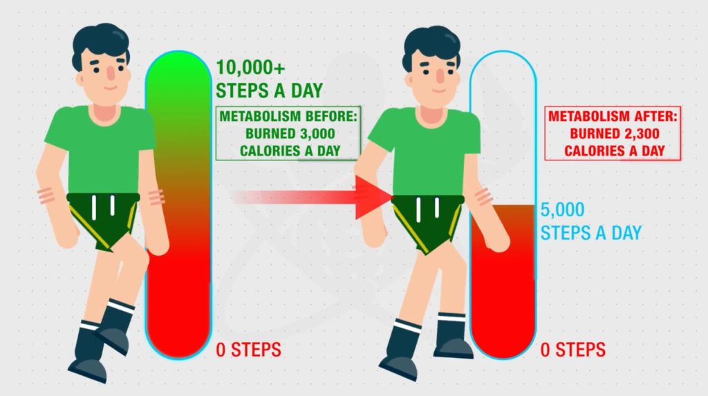 Becoming more sedentary means burning fewer calories