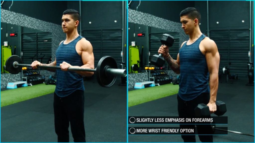 Best forearm exercises supinated grip