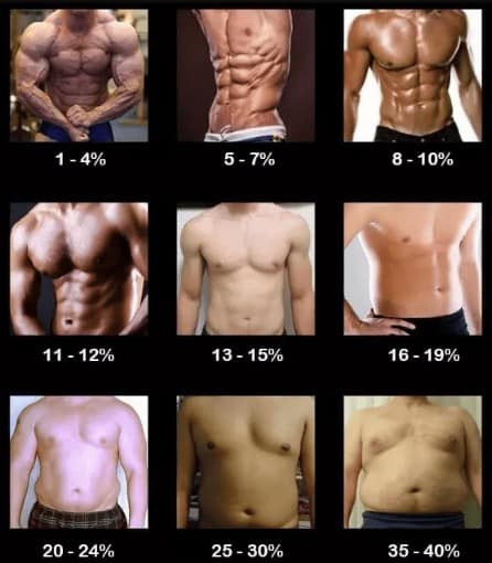 six pack abs graph