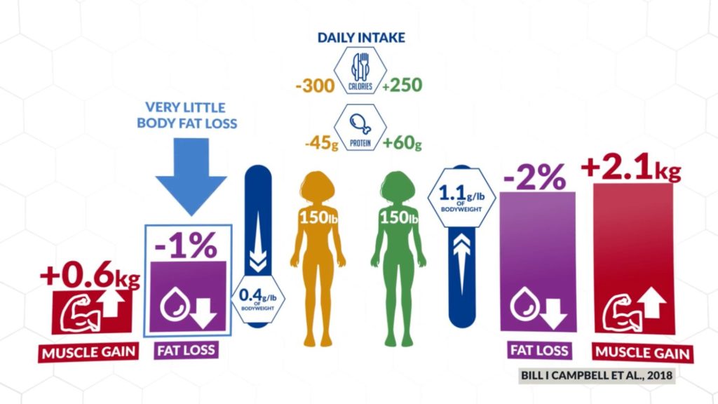 Focus on a high protein intake and resistance training to maintain muscle mass in a calorie deficit