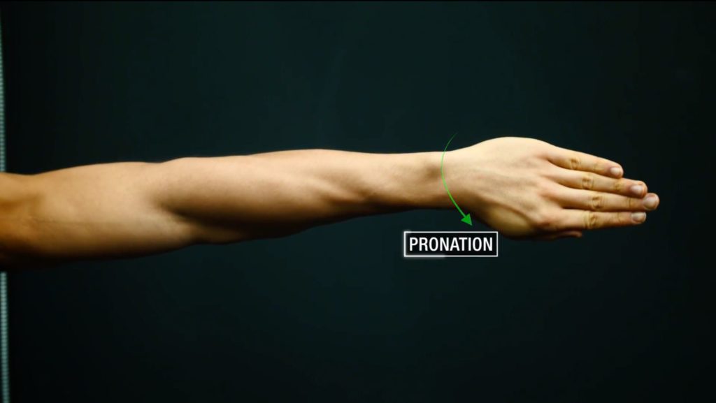 Forearm pronation