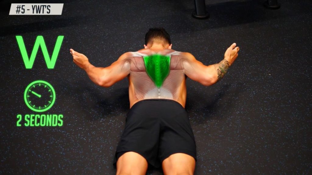 Hold the W position or 2 seconds to strengthen your back muscles