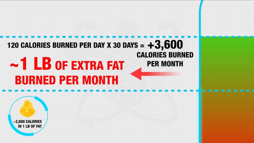 How many steps should you take a day calculation