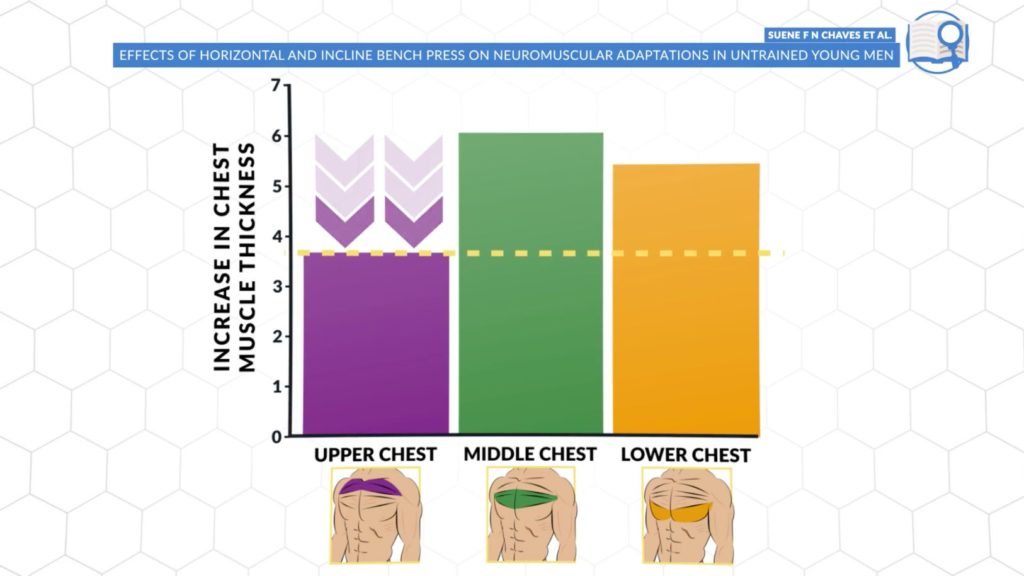 Including different exercises can lead to better muscle growth