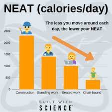 NEAT drops the less you move