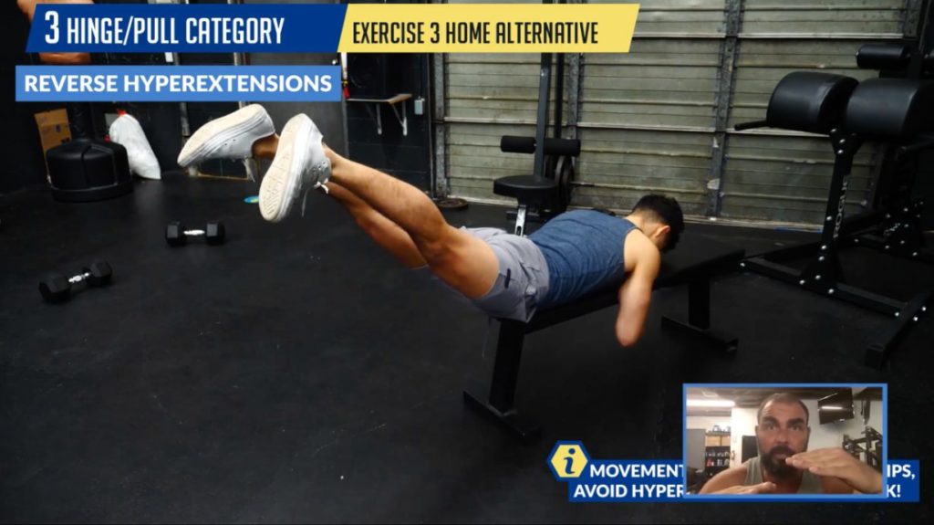 Reverse hyperextensions home alternative