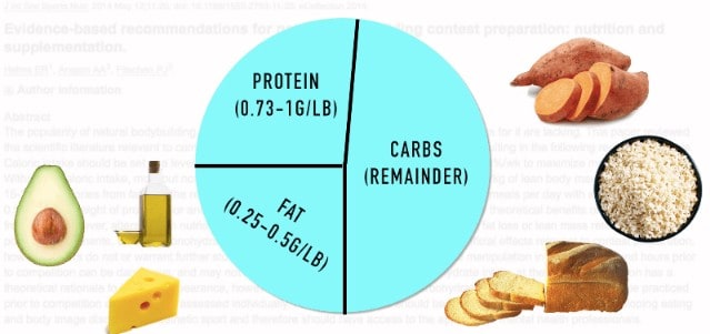 macros for building muscle