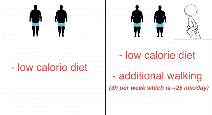 walking for weight loss study