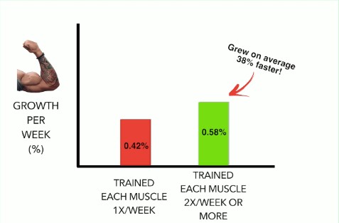 workout schedule study