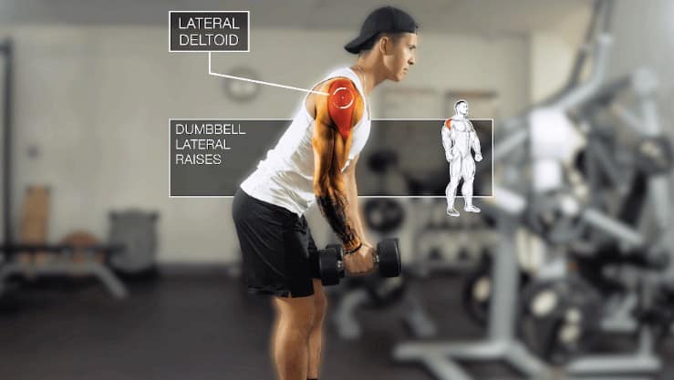 dumbbell lateral raises