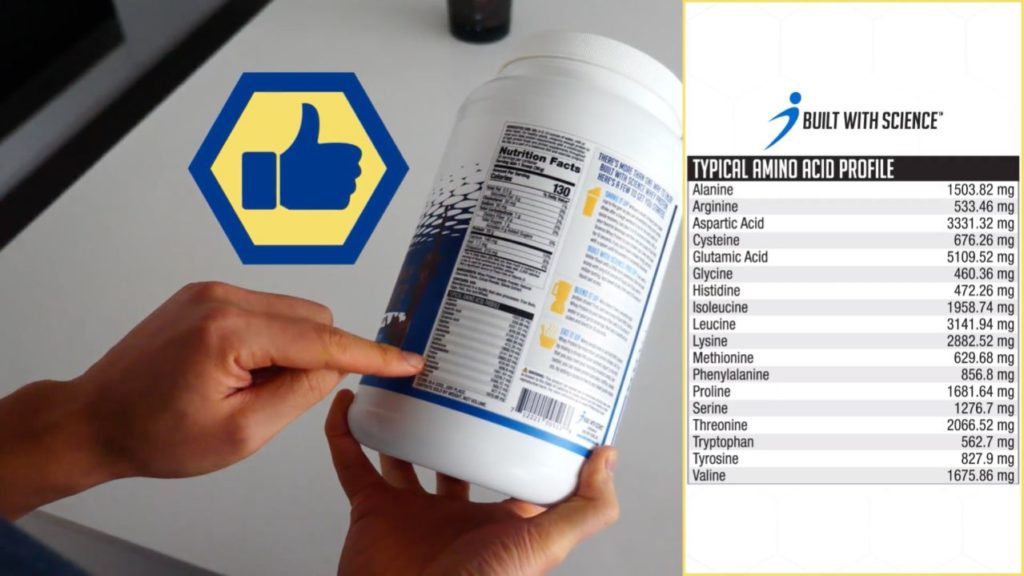 Typical amino acid profile of a good protein powder