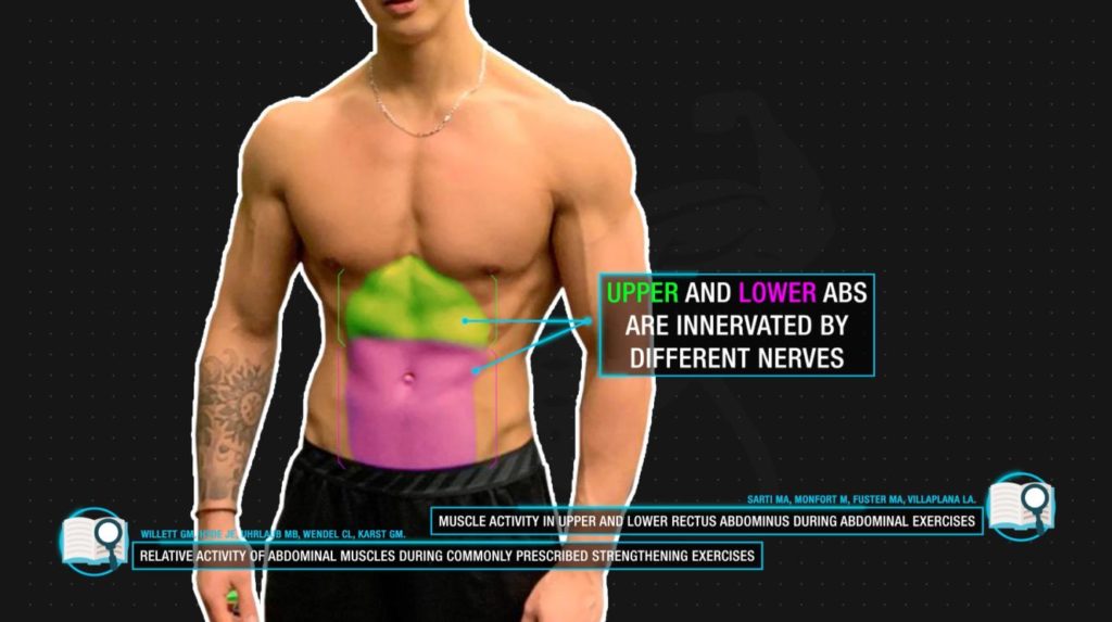 Upper and lower abs activation