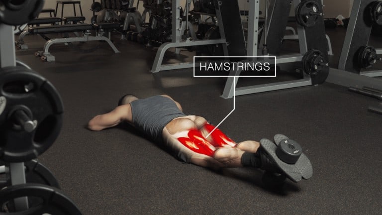 lying hamstring curls