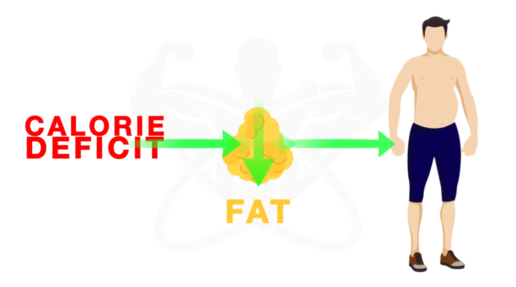 Calorie deficit for fat loss