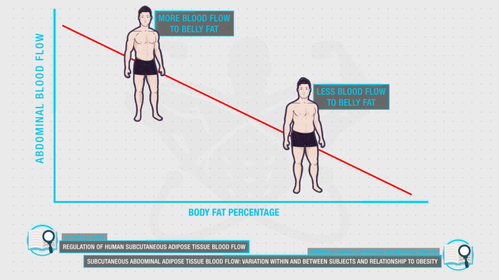 How to lose stubborn belly fat sustained calorie deficit-min