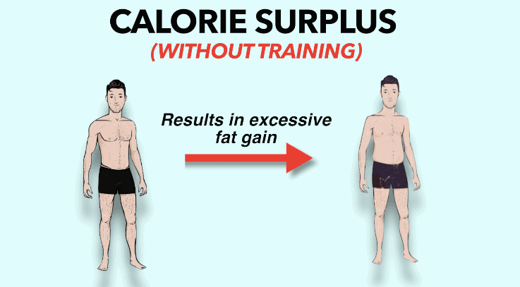 calorie surplus to avoid muscle loss