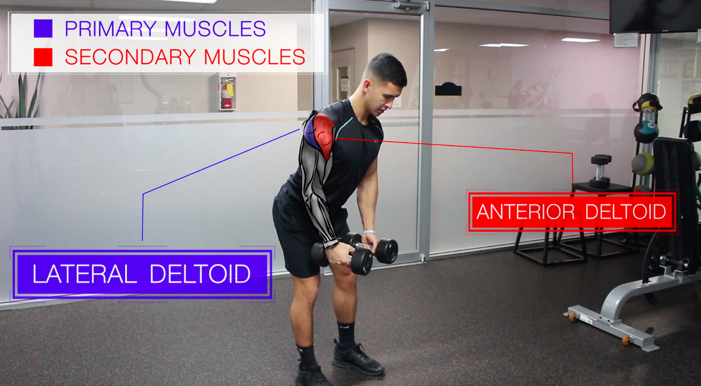 shoulder routine lateral raises