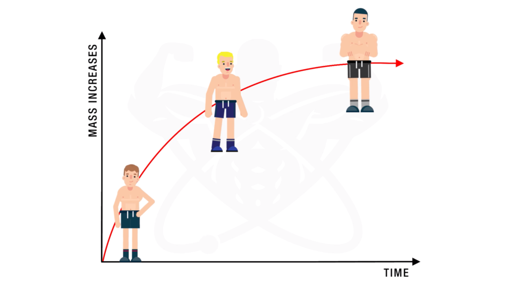 Training status and muscle growth-min