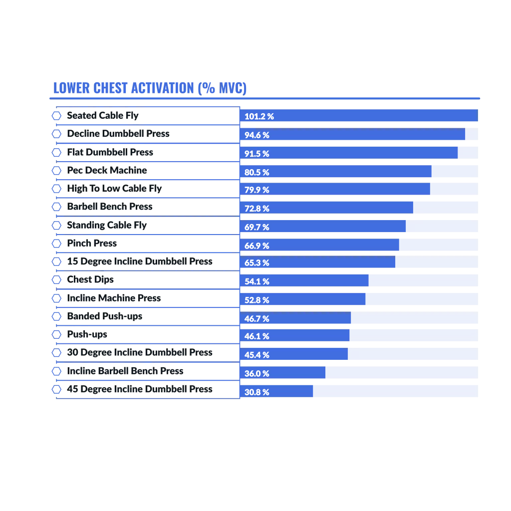 Graphic The best chest exercises for the lower chest winners