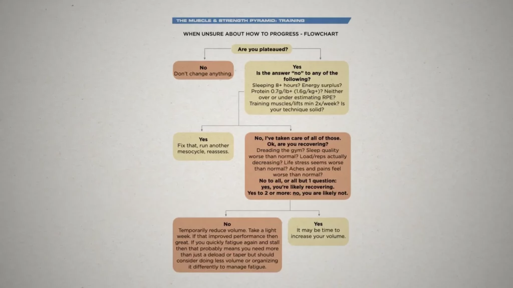 How many sets per muscle group per week flow chart