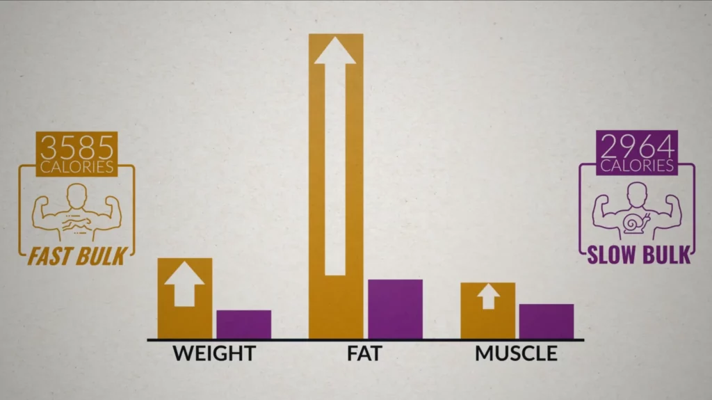 Lean bulk vs slow bulk weight fat and muscle gain differences