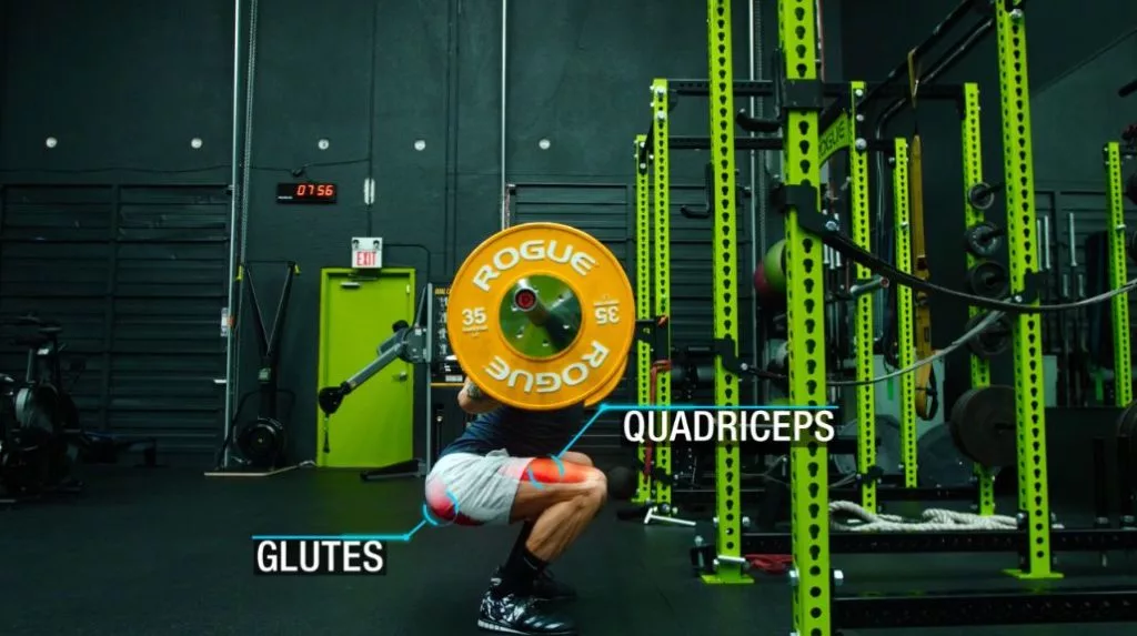 Push pull legs routine squats